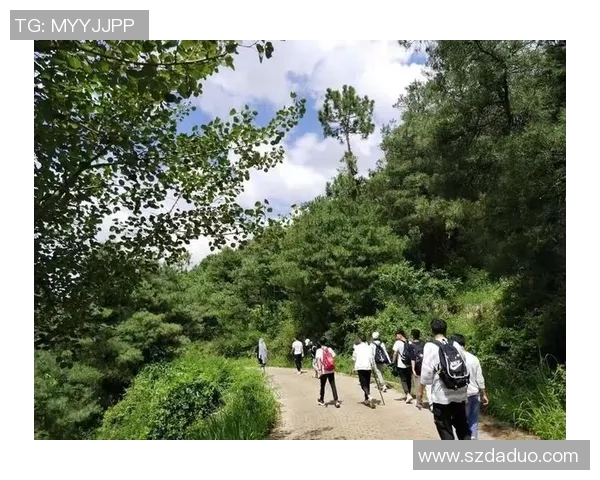 杭州篮球队的意识提升与团队精神建设探讨