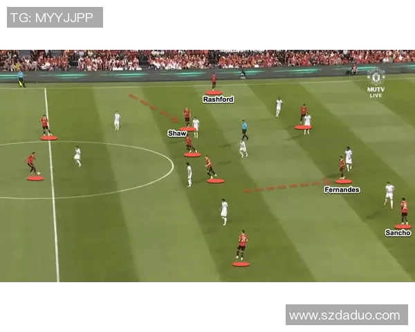 成都排球队的反击革新之路:重塑战术与团队精神的全新探索