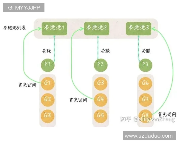 深入分析重庆排球队反击战术的独特魅力与实战应用